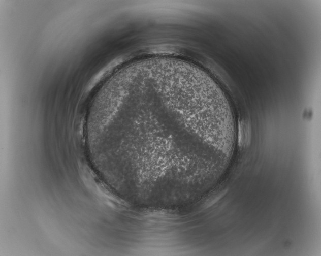 X0000112820723200909111322