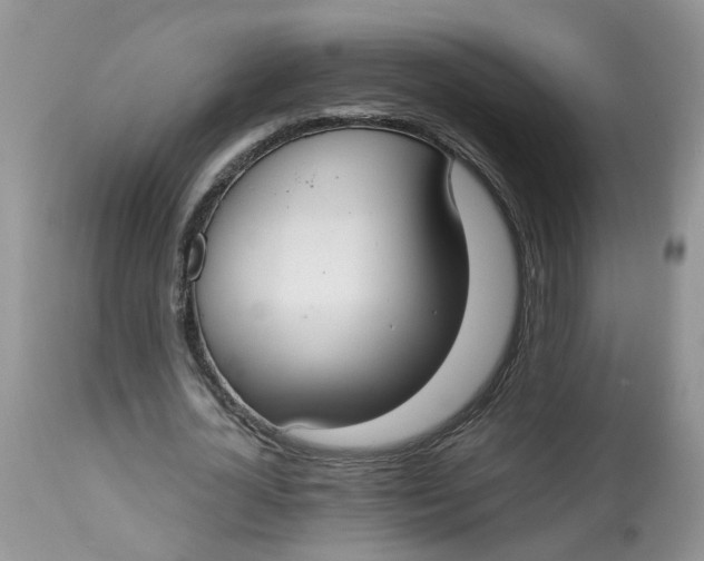 X0000112820724200909111322