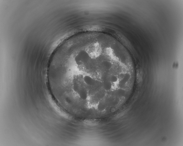 X0000112820725200909111322