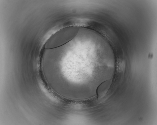 X0000112820726200909111322