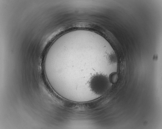 X0000112820727200909111322