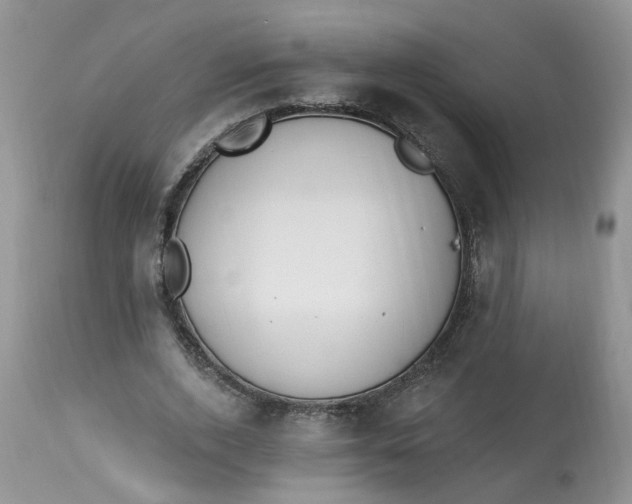 X0000112820728200909111322