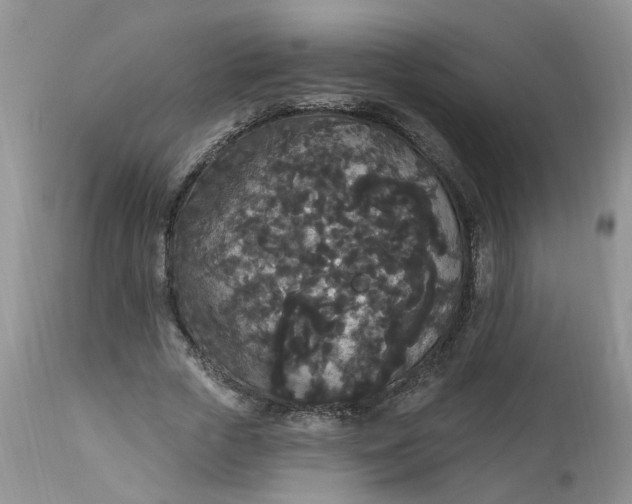 X0000112820729200909111322