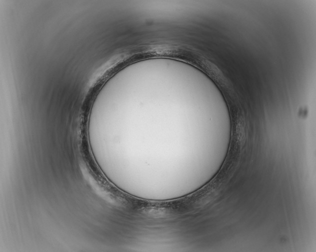 X0000112820730200909111322