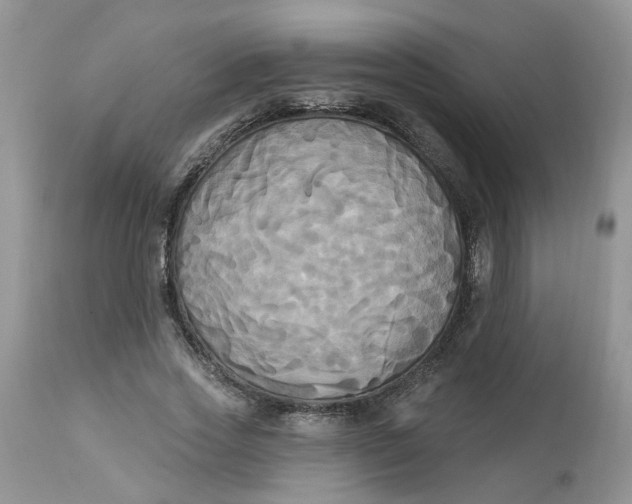 X0000112820733200909111322