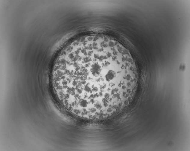 X0000112820734200909111322