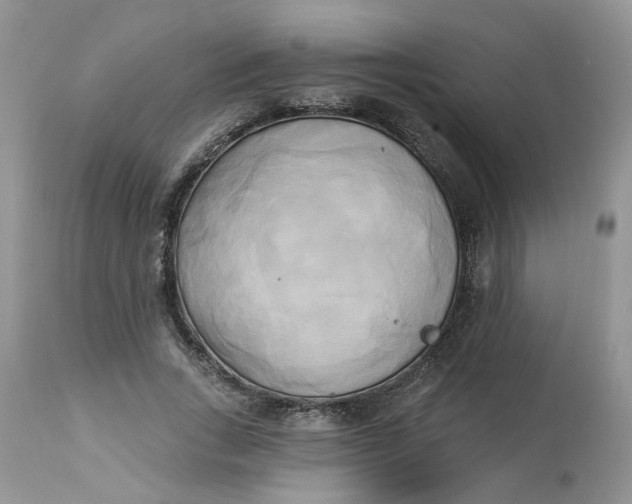 X0000112820735200909111322