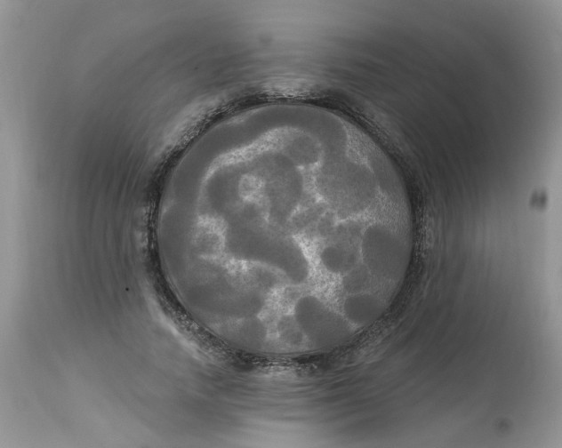 X0000112820738200909111322