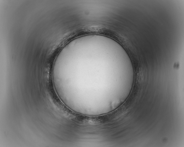 X0000112820739200909111322