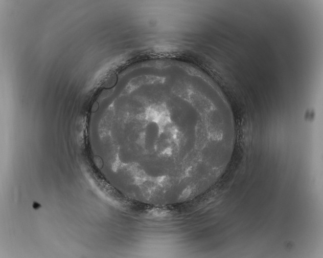 X0000112820742200909111322