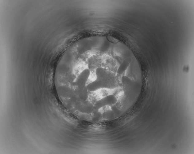 X0000112820745200909111322