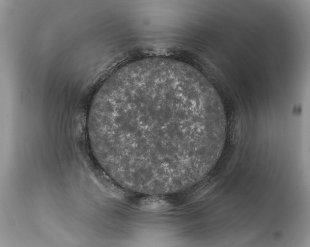 X0000112820747200909111322