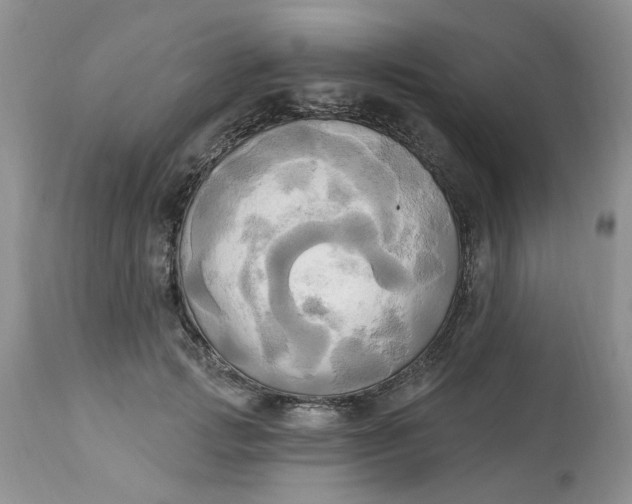 X0000112820749200909111322