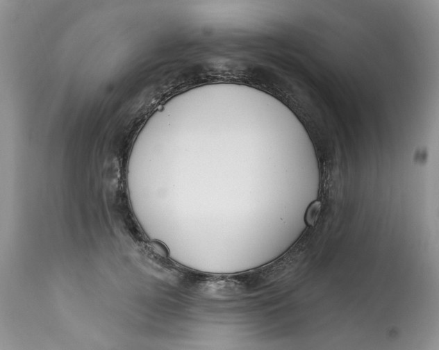 X0000112820752200909111322