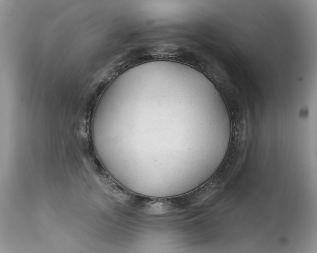 X0000112820755200909111322