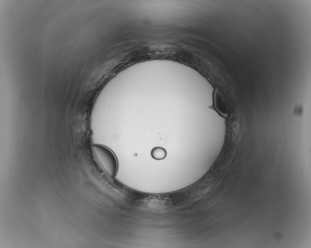 X0000112820756200909111322