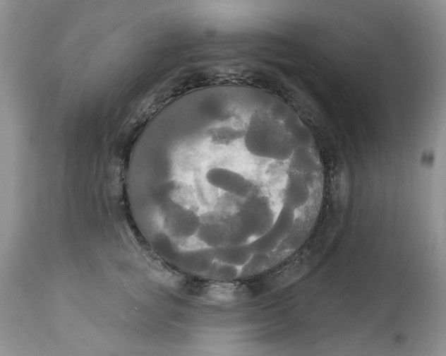 X0000112820757200909111322