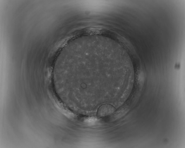 X0000112820759200909111322