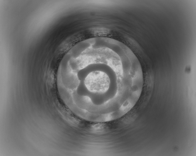 X0000112820761200909111322