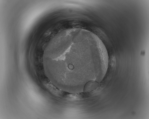 X0000112820763200909111322