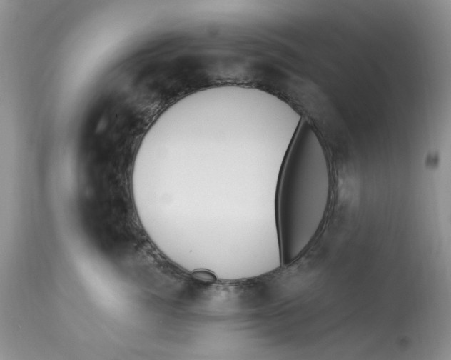 X0000112820764200909111322