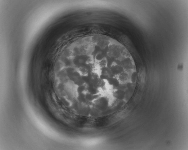 X0000112820765200909111322