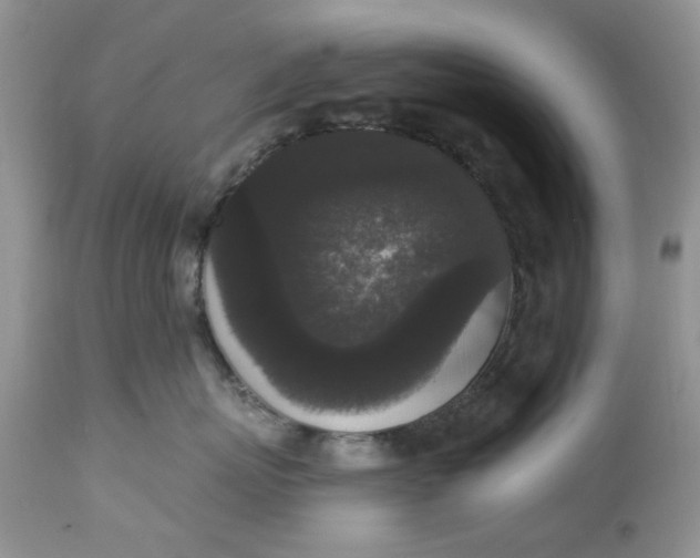 X0000112820767200909111322