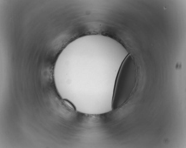 X0000112820768200909111322