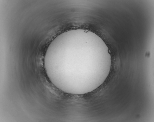 X0000112820770200909111322