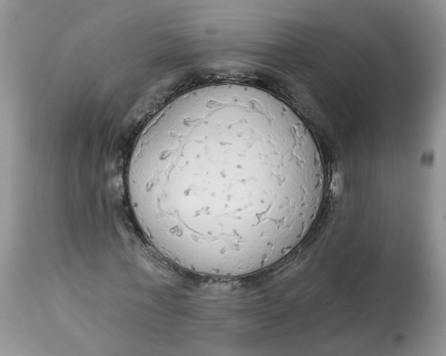 X0000112820771200909111322