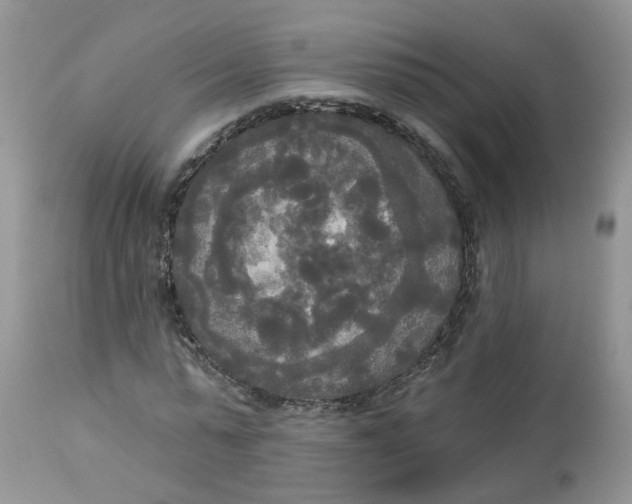 X0000112820775200909111321