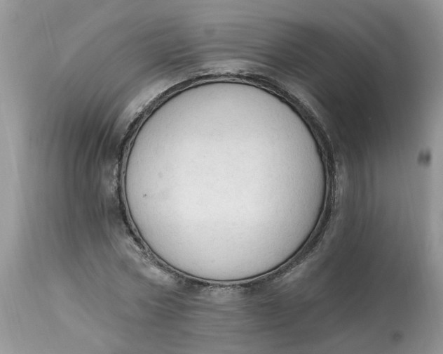 X0000112820778200909111321