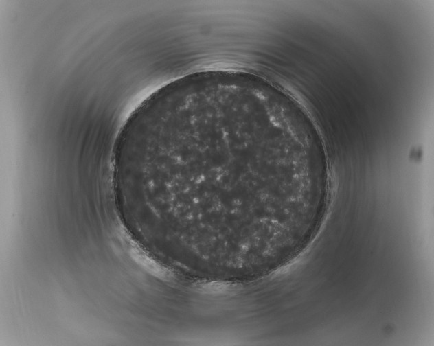 X0000112820779200909111321