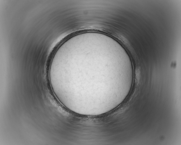 X0000112820780200909111321