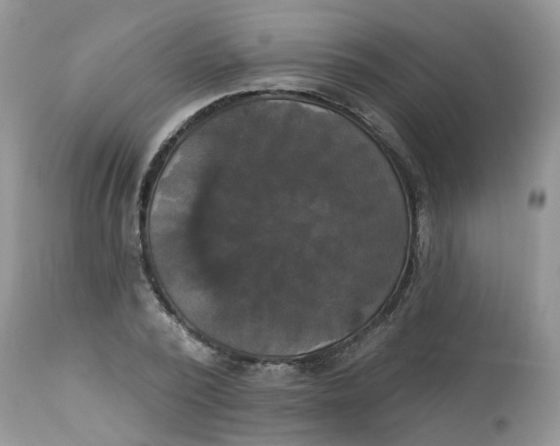 X0000112820784200909111321