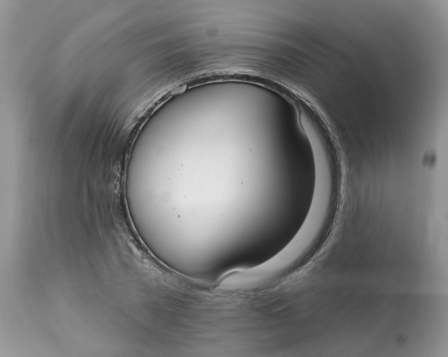 X0000112820785200909111321