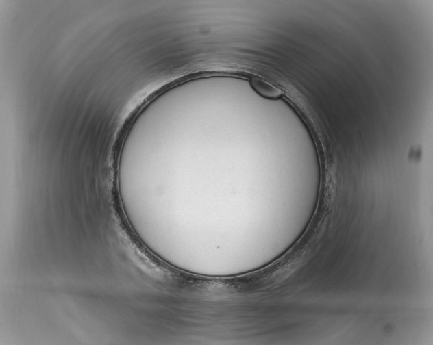 X0000112820787200909111321