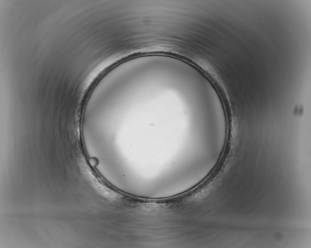 X0000112820789200909111321