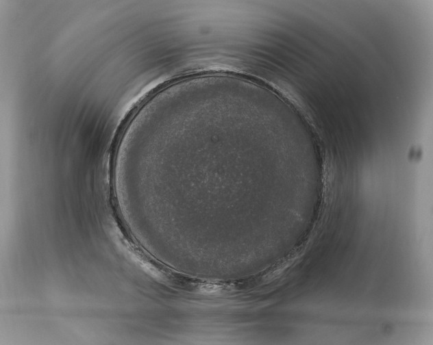 X0000112820790200909111321