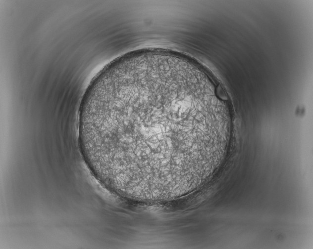 X0000112820791200909111321