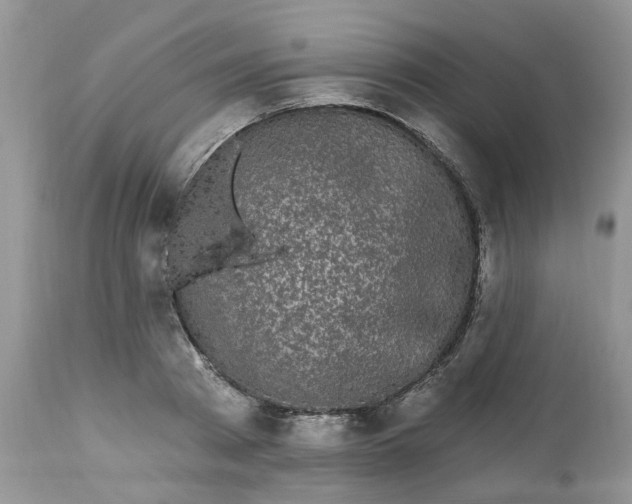 X0000112820793200909111321