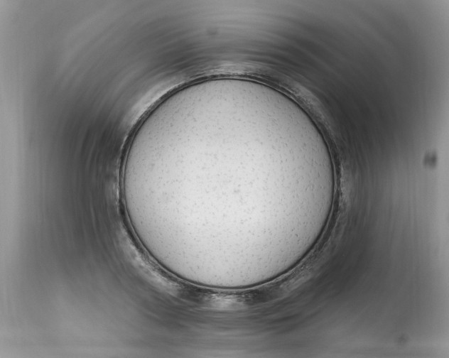 X0000112820794200909111321