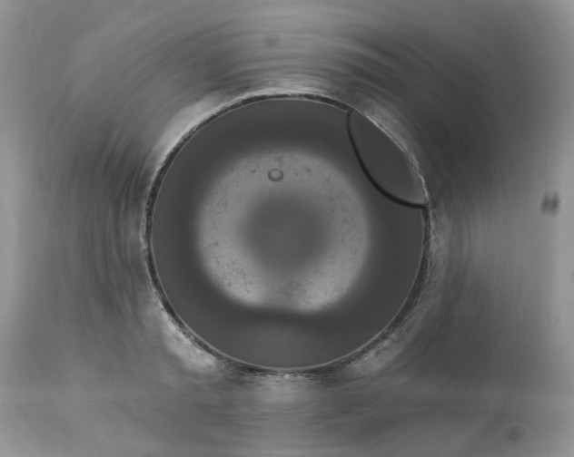 X0000112820797200909111321