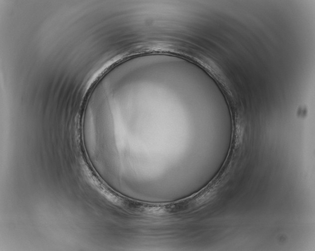 X0000112820798200909111321