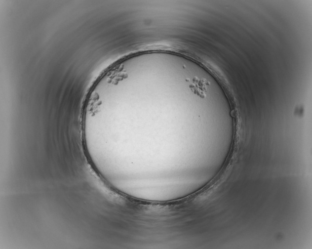 X0000112820800200909111321