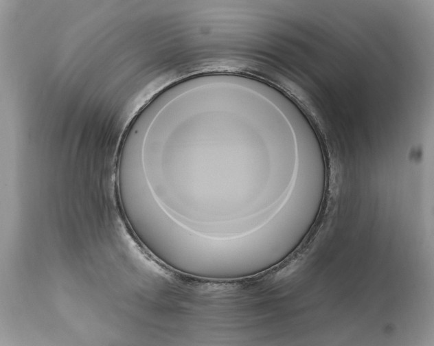 X0000112820802200909111321