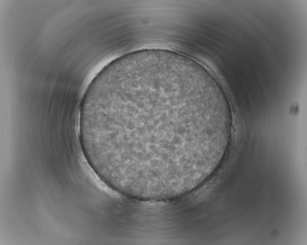 X0000112820804200909111321