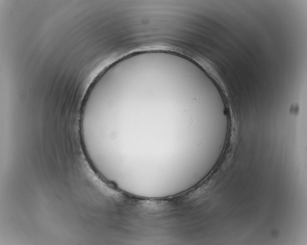 X0000112820805200909111321