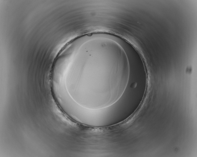 X0000112820806200909111321