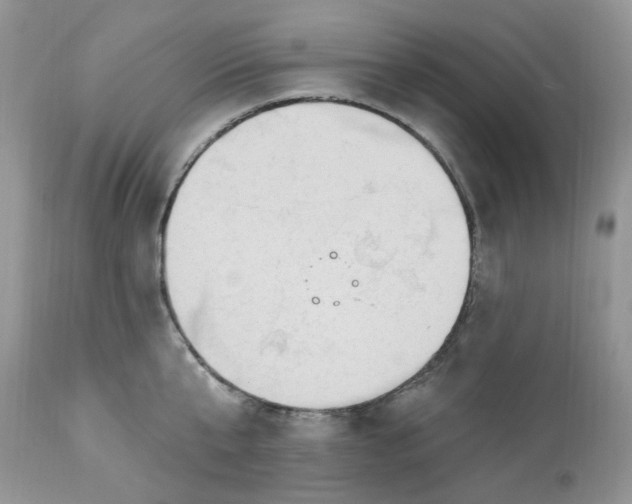 X0000112820807200909111321